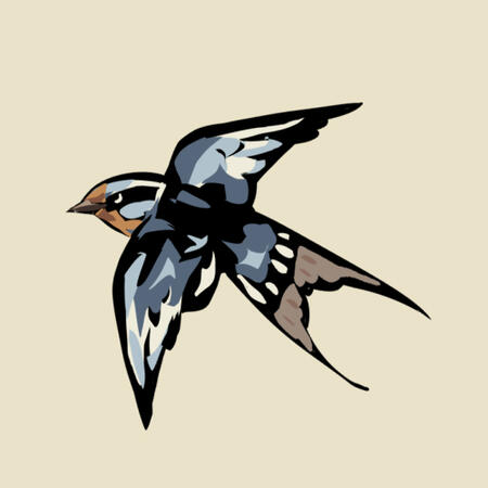 Swallow